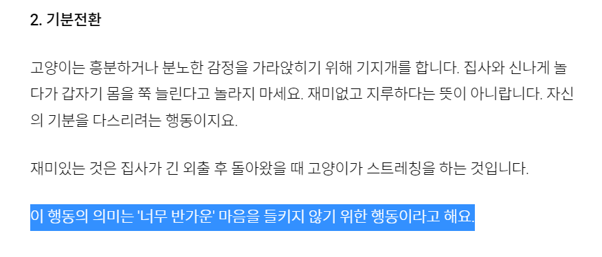 고양이들이 사람을 맞이할 때 기지개를 켜는 이유 | 인스티즈