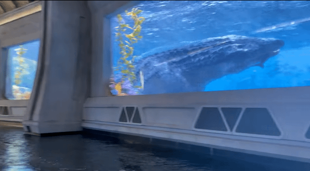 헐리우드 유니버셜 스튜디오 - 쥬라기 월드 더 라이드! .gif | 인스티즈