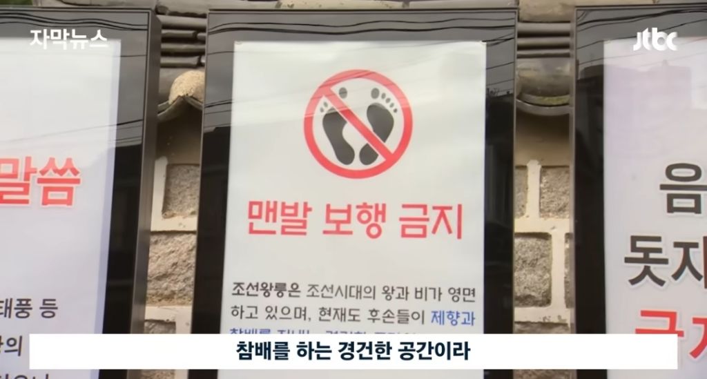 경고문도 무시하고 맨발걷기 하는 사람들 | 인스티즈