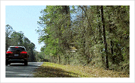 백인 여자친구 부모님 집에 처음 방문하는데 이 가족 전부 어딘가 이상한 거 같아요..gif | 인스티즈