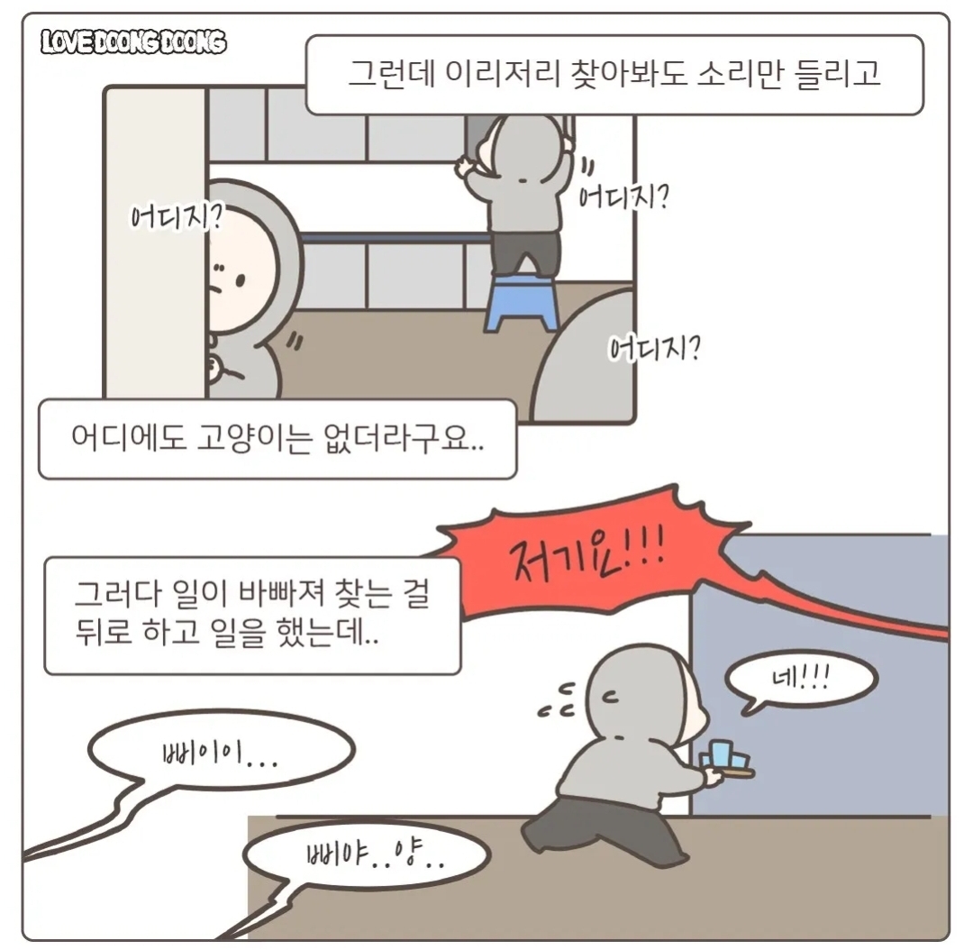 주방 싱크대 뒷편 호스에 매달려있다가 구조된 아기 고양이.jpg | 인스티즈