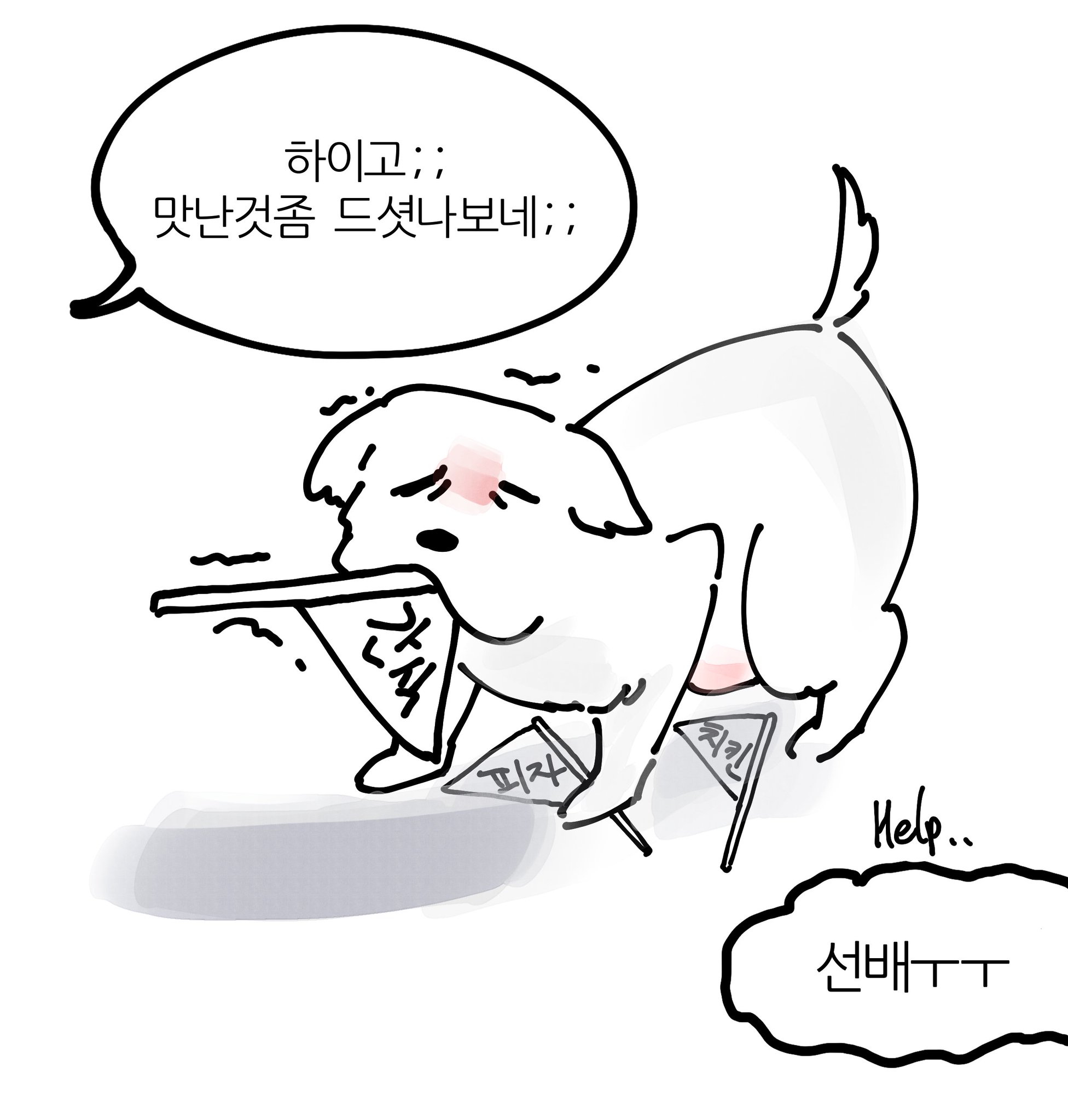 반려동물 키우는 사람들이 의외로 안 해 본 것 | 인스티즈