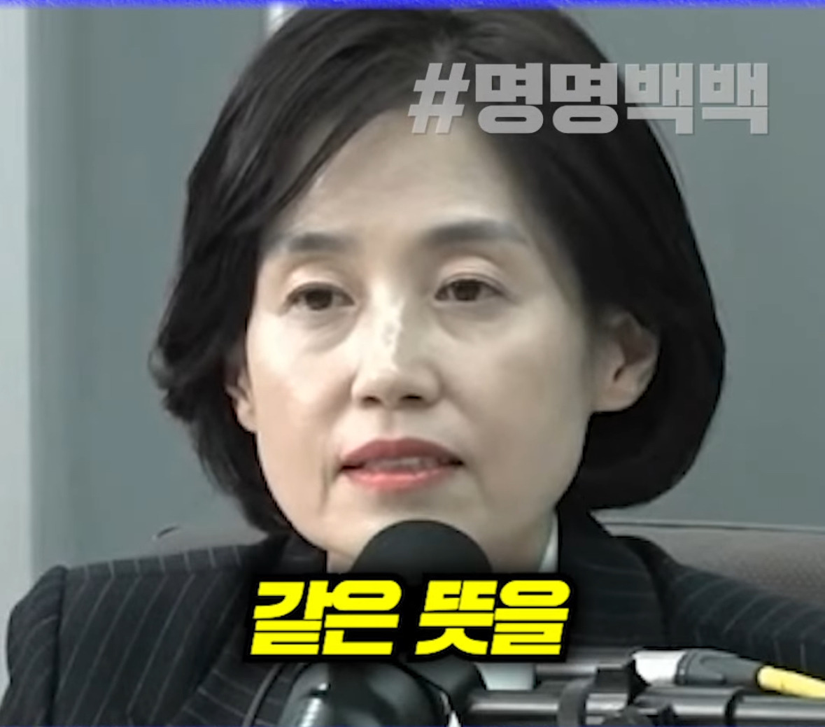 극우를 고립시키기 위해 한동훈과 연대해야 한다는 고민정에게 반박하는 박은정 의원 | 인스티즈