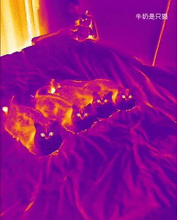 a22bb886cf70eeb0810f9460b00e77186db55372