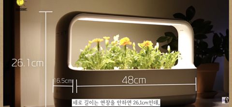 내가 사고 싶어서 찾아본 LG 틔운 미니 (가정 식물 재배기) | 인스티즈