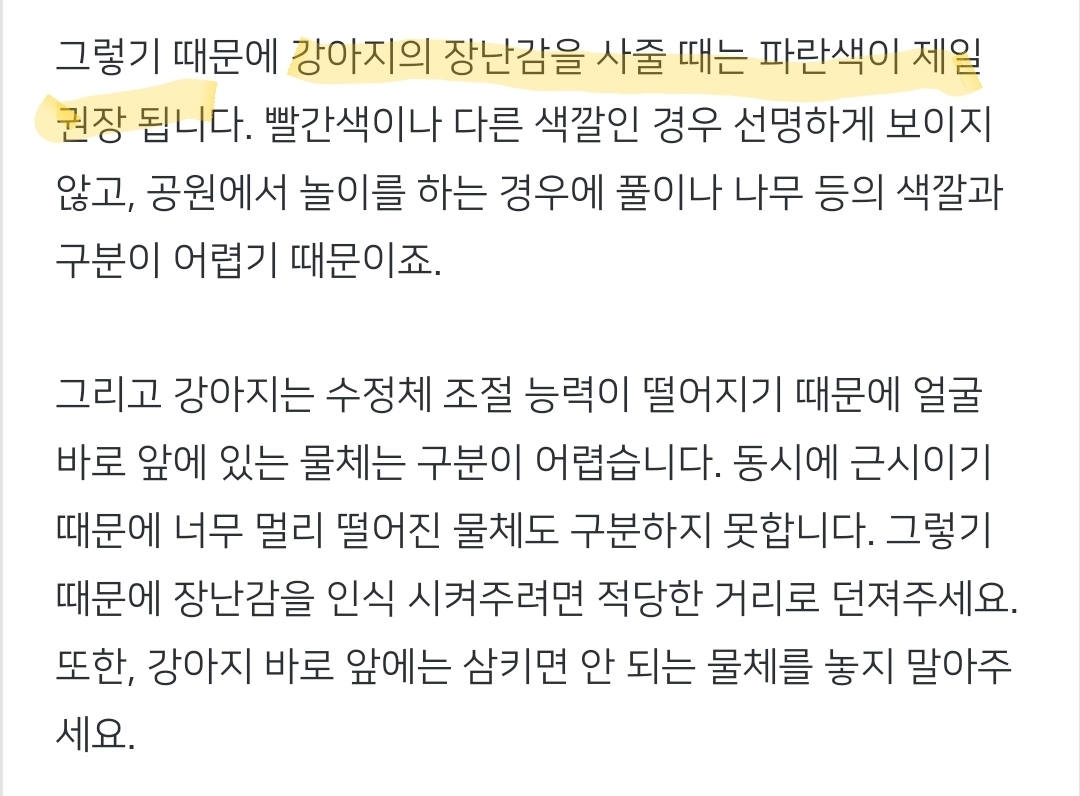 강아지는 진짜 색맹일까?🐶.jpg | 인스티즈