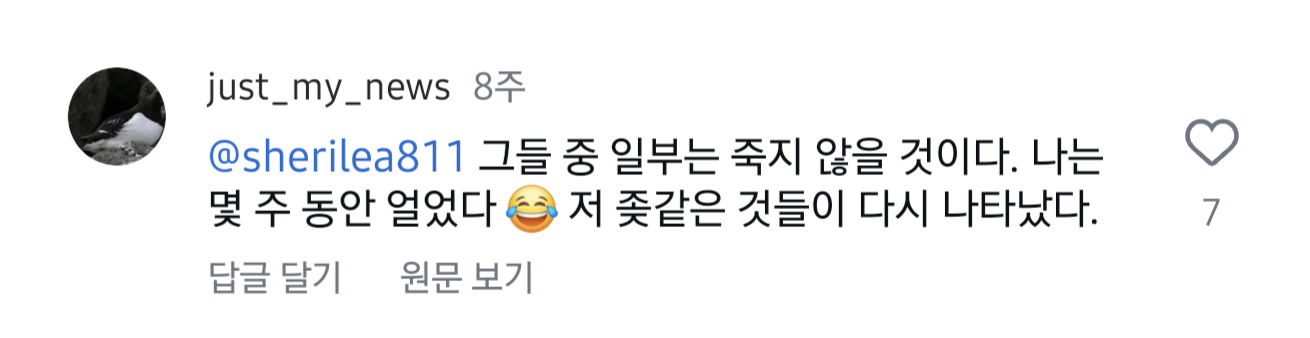 베이킹하려고 밀가루 꺼냈다가 충격먹은 사람 | 인스티즈