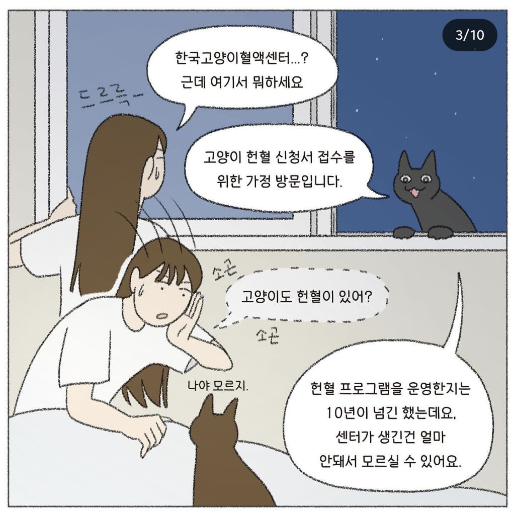 🐱💉고양이도 헌혈을 한다고? | 인스티즈