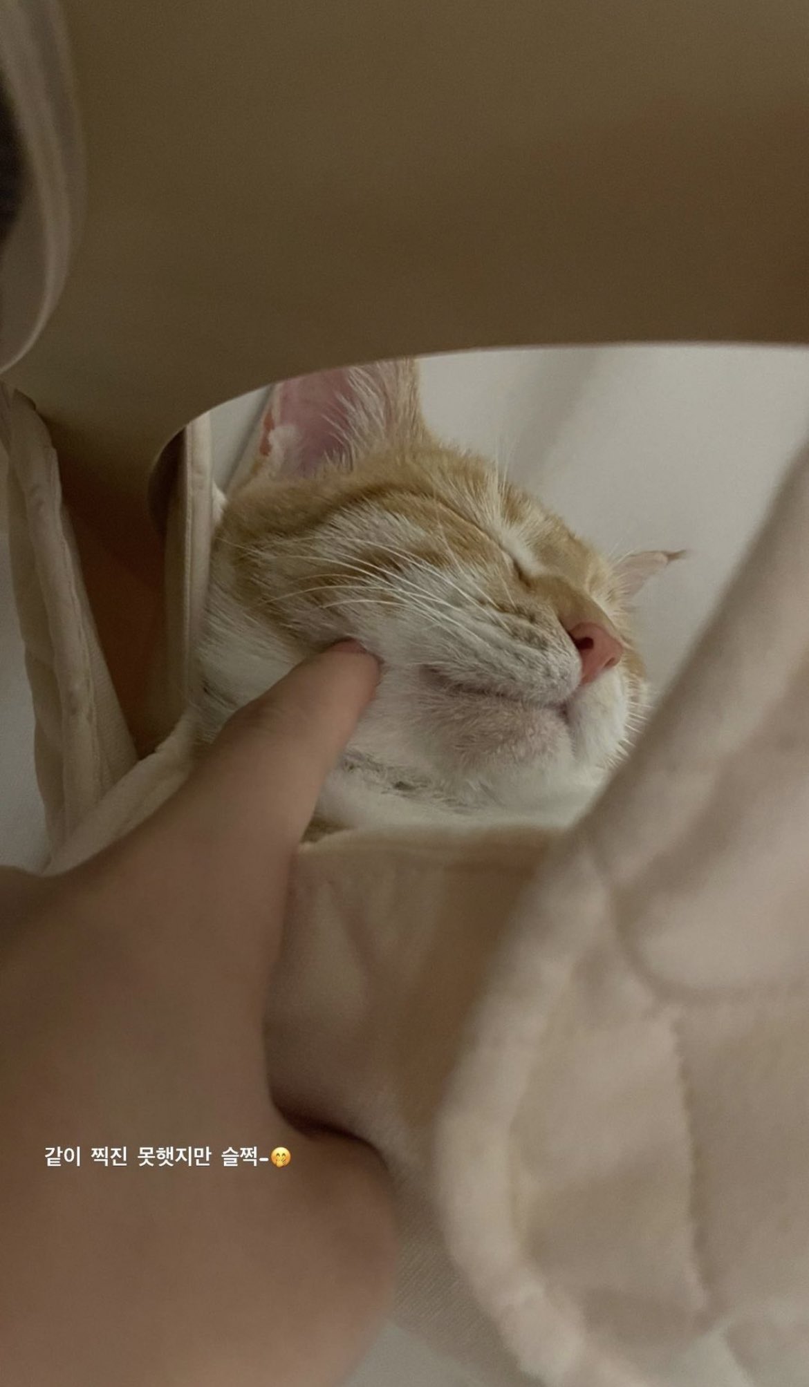 요즘 김혜윤 일상을 사로잡고 있다는 존재 | 인스티즈