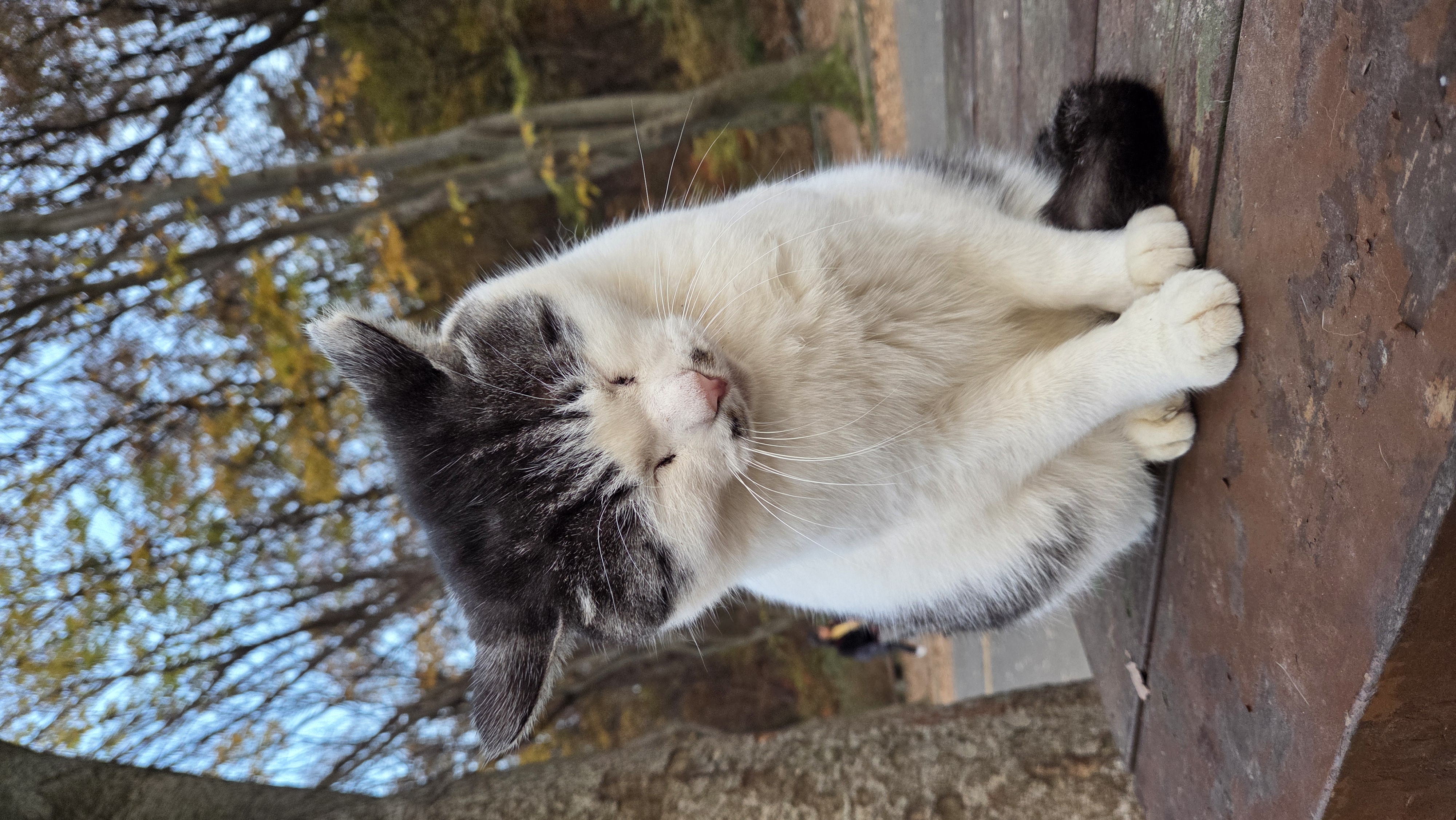 고양이 잔다 | 인스티즈