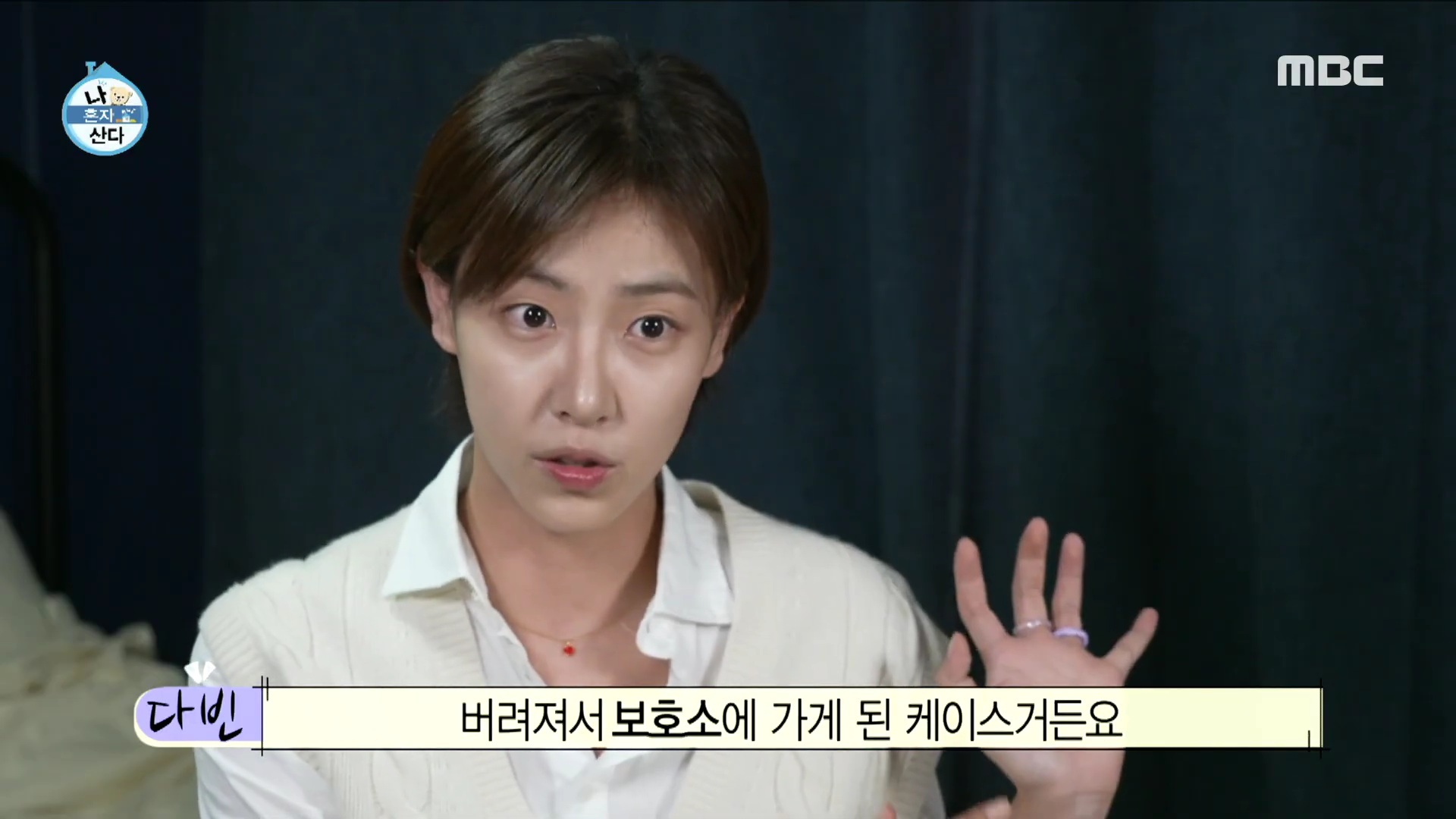 배우 배다빈이 7번째 임보하다 입양했다는 민들레 | 인스티즈