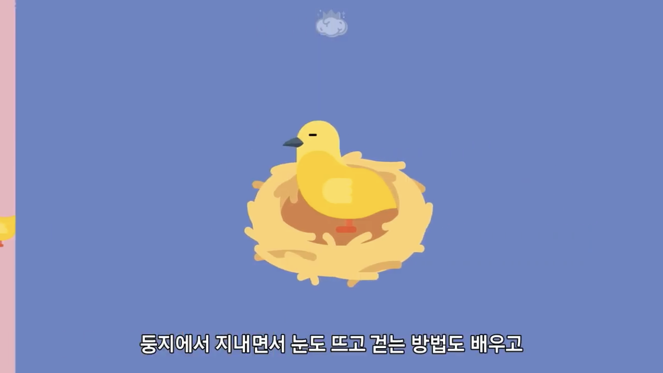 거리에 비둘기가 이렇게 많은데 왜 새끼 비둘기는 안 보일까? | 인스티즈