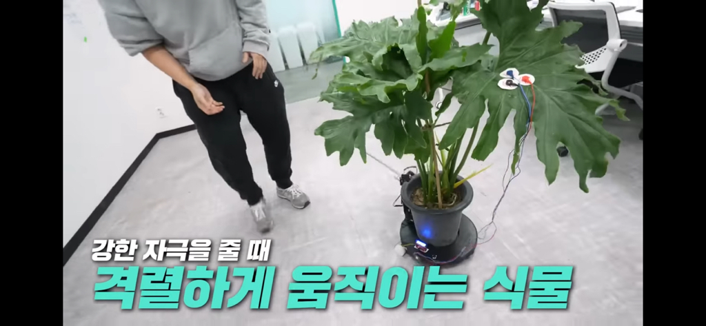 역대급 대충격이였던 식물실험 | 인스티즈