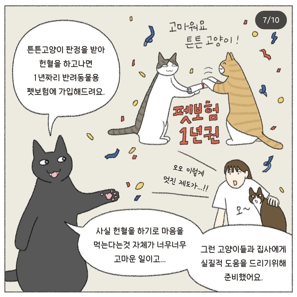 🐱💉고양이도 헌혈을 한다고? | 인스티즈
