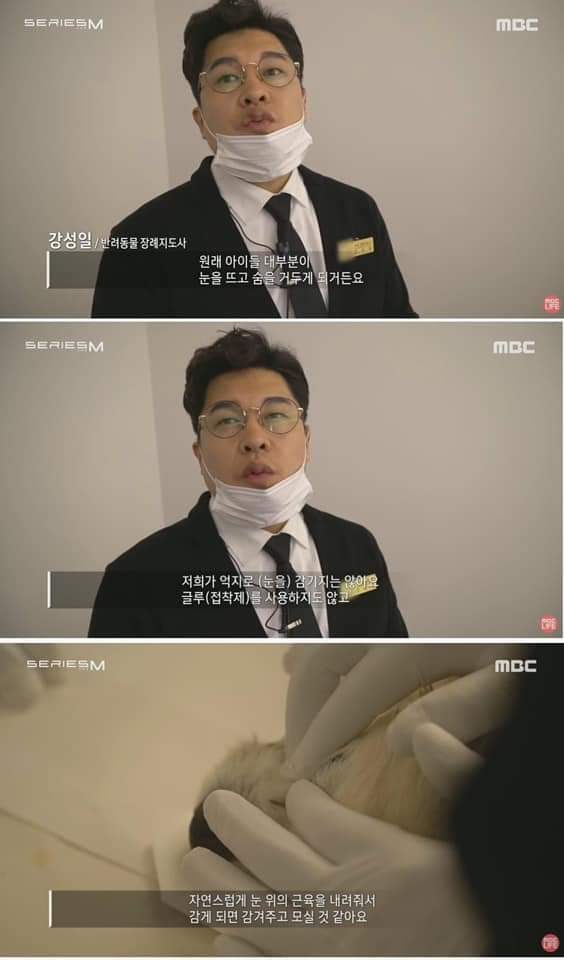 무지개 다리를 건넌다는 것 | 인스티즈