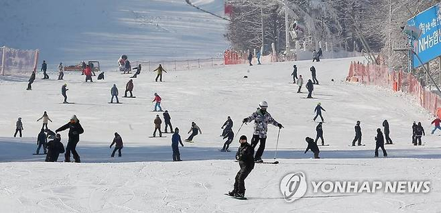 "스키 캠프서 담임교사가 초등생 성추행”…목격자 신고로 경찰 수사 | 인스티즈