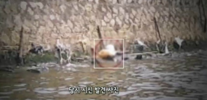 태양다방 이미지