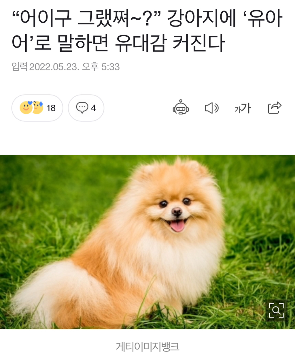 "어이구 그랬쪄~?” 강아지에 '유아어'로 말하면 유대감 커진다 | 인스티즈
