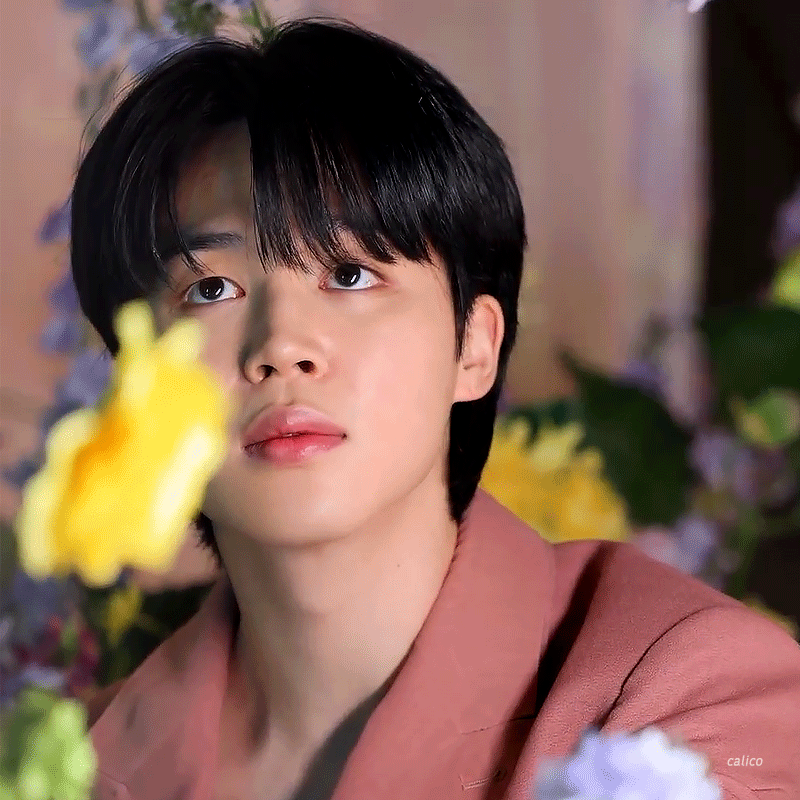 a364f5778ce6116057319cef61f72d8763b6c491