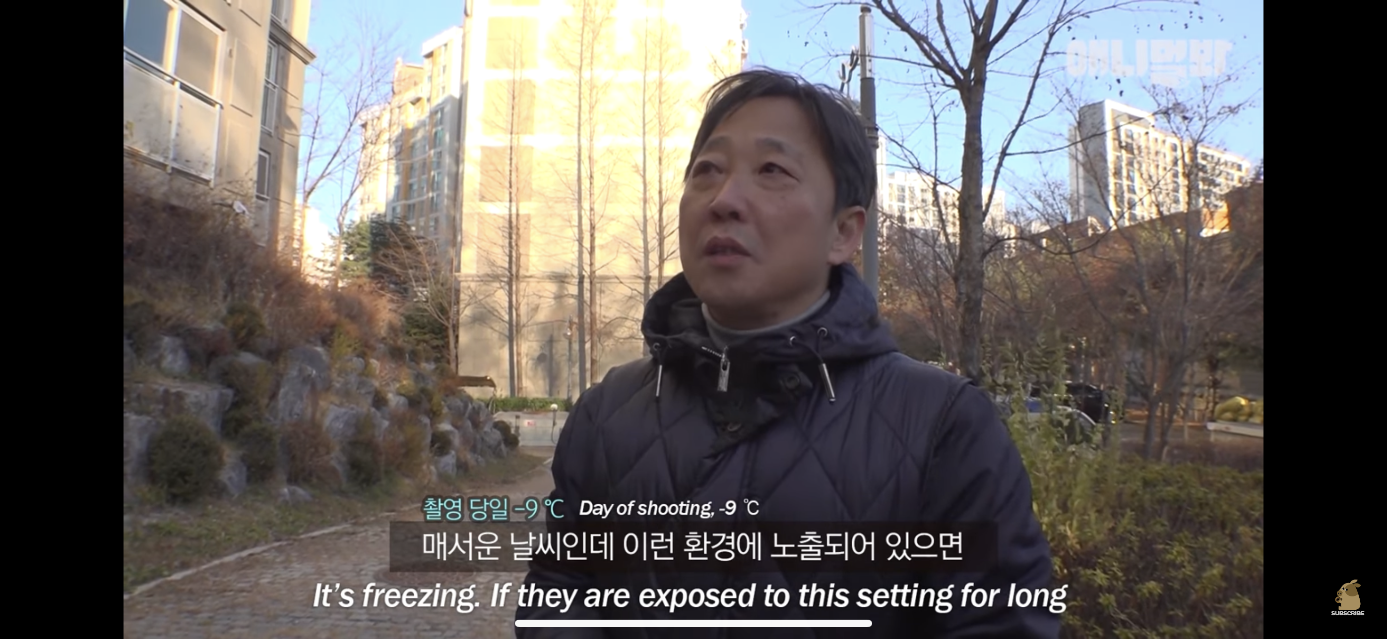 경기도 김포시 마송 휴먼시아 10단지 아파트내에 집단으로 유기된 노르웨이숲 고양이 | 인스티즈