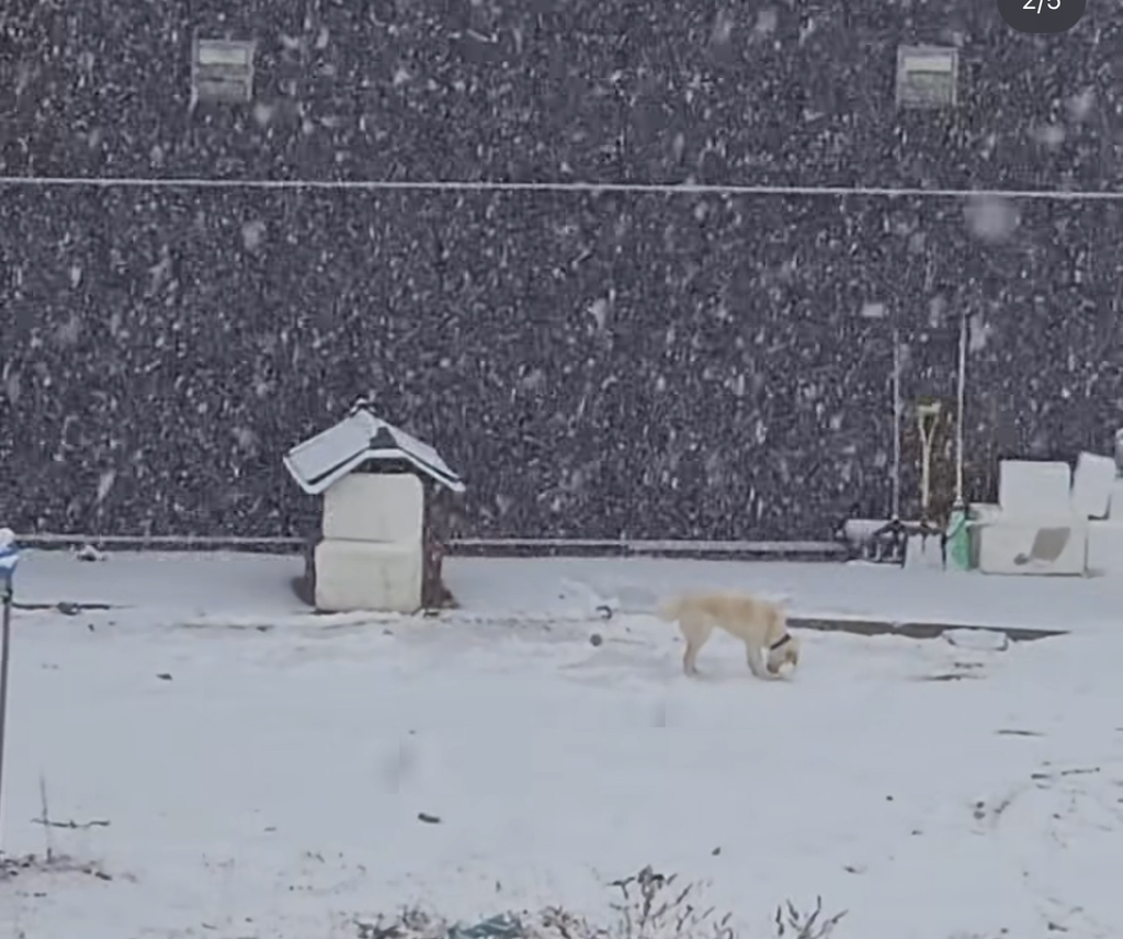 이사건 알아??정말 황당함ㅋㅋㅋㅋ | 인스티즈