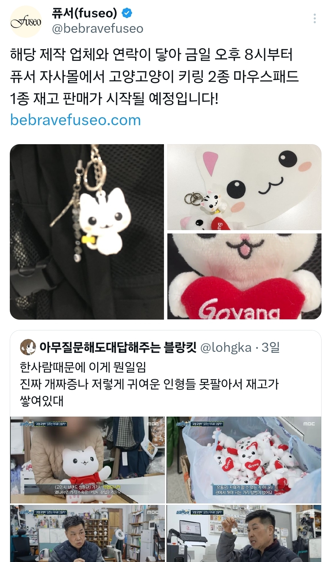 고양고양이 컴백!! | 인스티즈