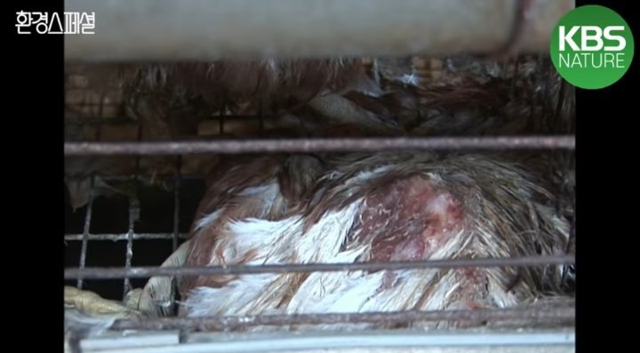 a3bd045c991a6ab34688f33bad2843bdd3f03b4e