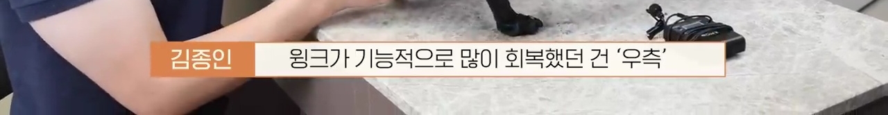 교통사고난 유기견 입양한 설채현 수의사 그리고 윙크 근황😉 | 인스티즈