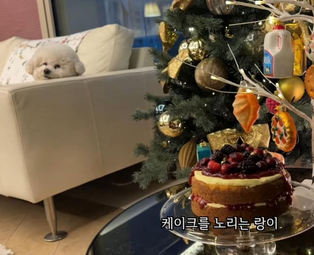 크리스마스 베이킹 영상 올린 금손 세경씨.jpg | 인스티즈