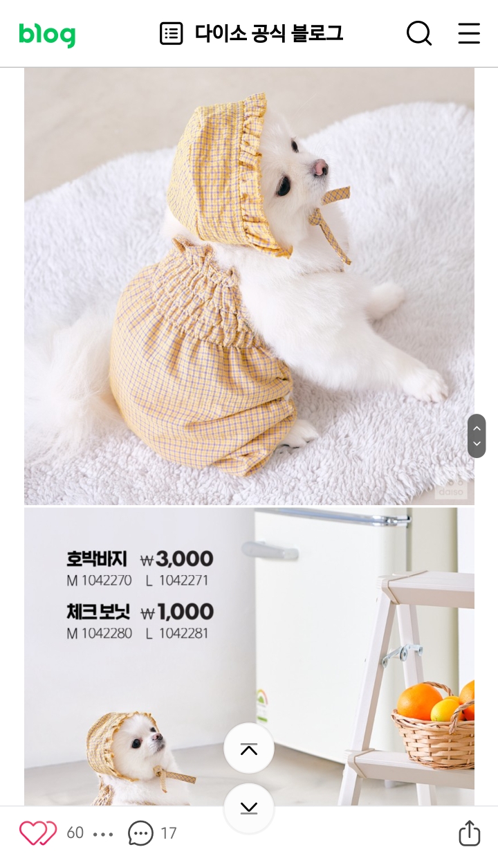📷우리 강아지 화보집 만들기 A-Z📷 | 인스티즈