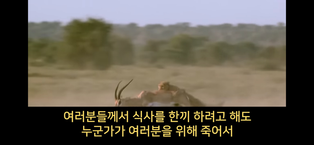 지구에서 환생 안하는방법🌏 | 인스티즈