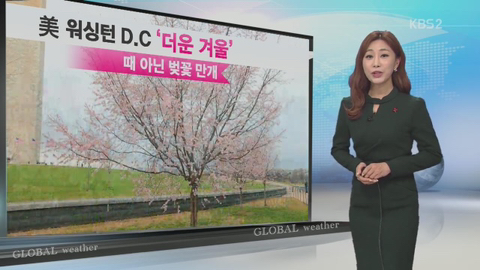 지구가 아프다는 말은 개뿔 | 인스티즈