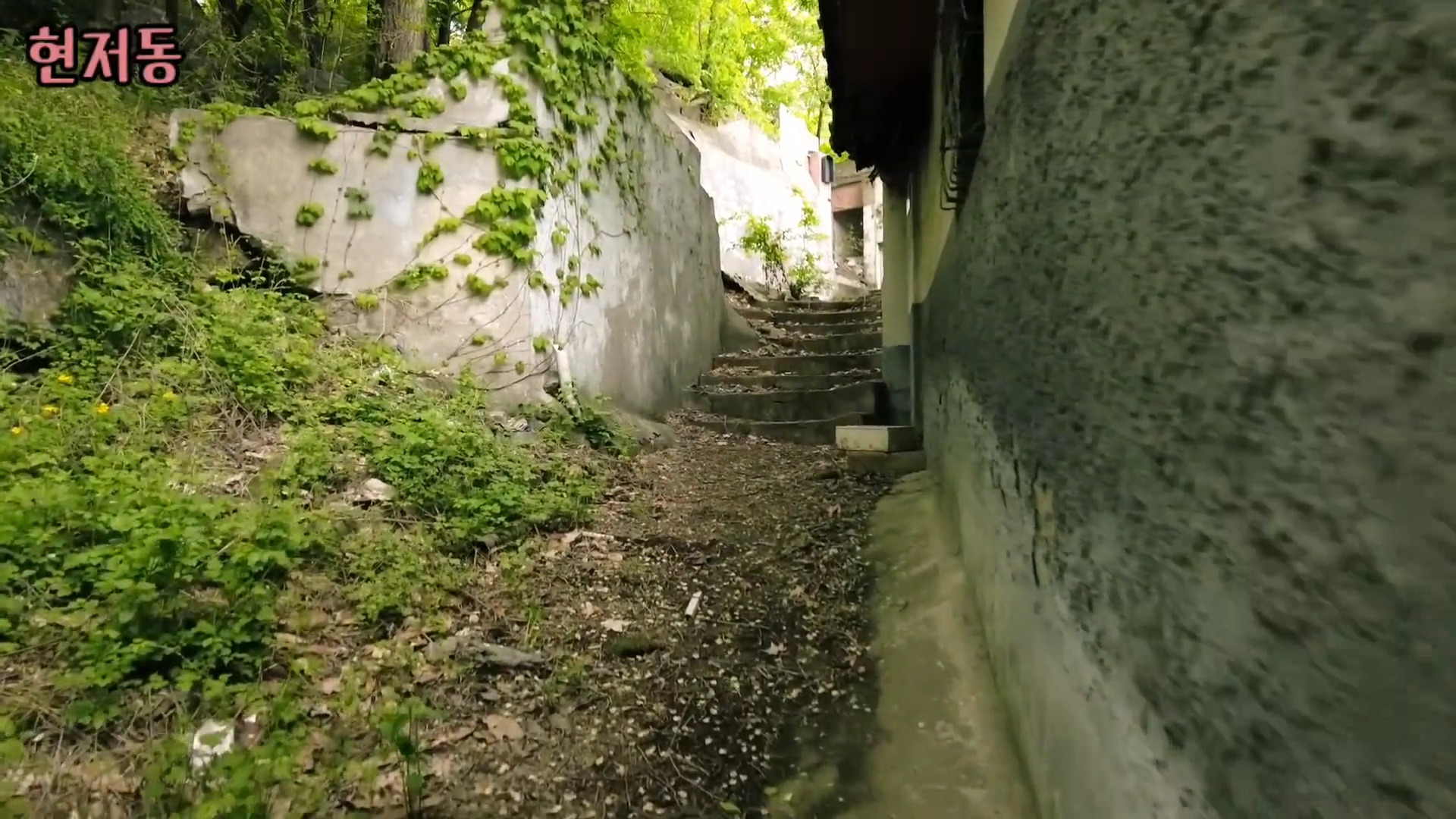 유령마을이라 불린다는 서울 달동네 현저동.jpg | 인스티즈