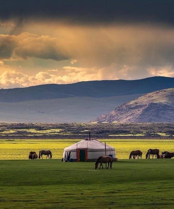 몽골에 가면 생각 정리 하게 돼서 참 좋아.twt | 인스티즈