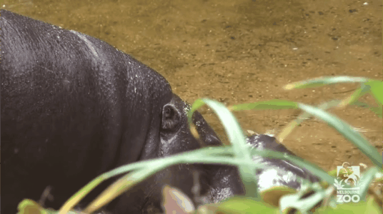 a4499bb10b3aee859bd24cd958ed20cd852600a9