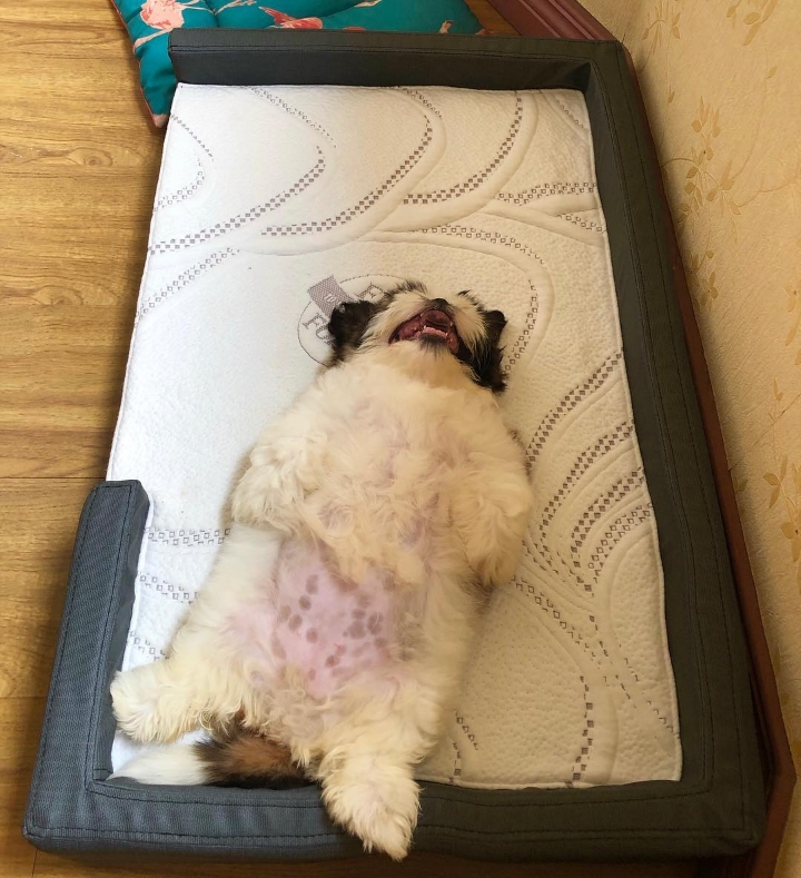 a46abc5b62f9113b600517bf3b8ff0ede1a7e564