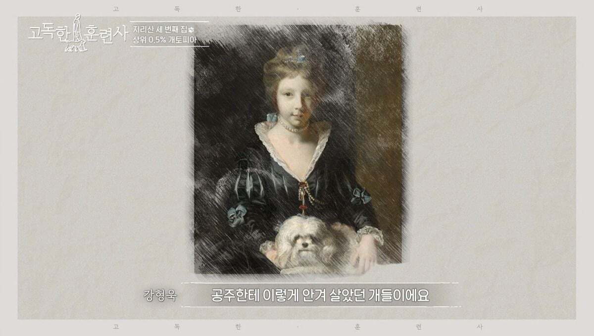 말티즈가 예민하고 잘 짖는 이유.jpg | 인스티즈