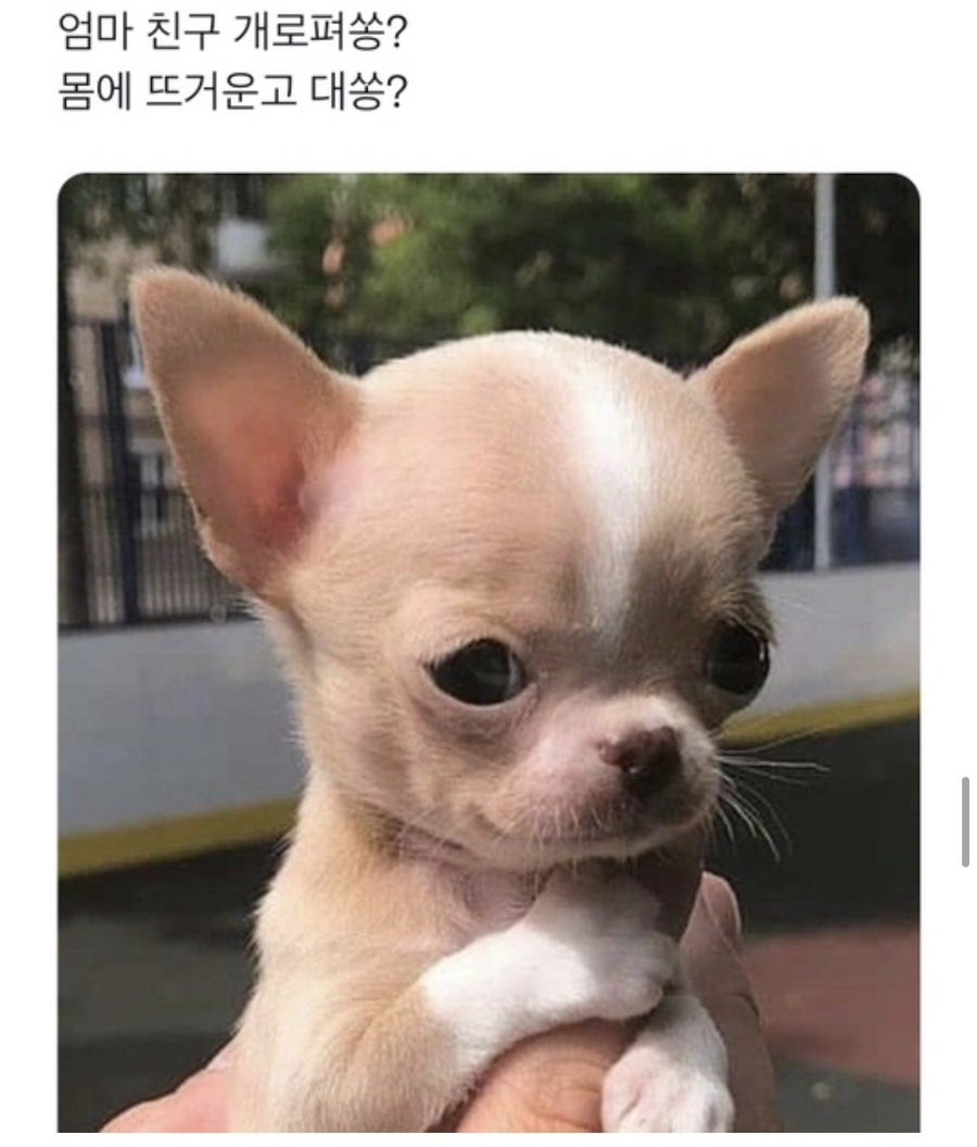 피식 이미지