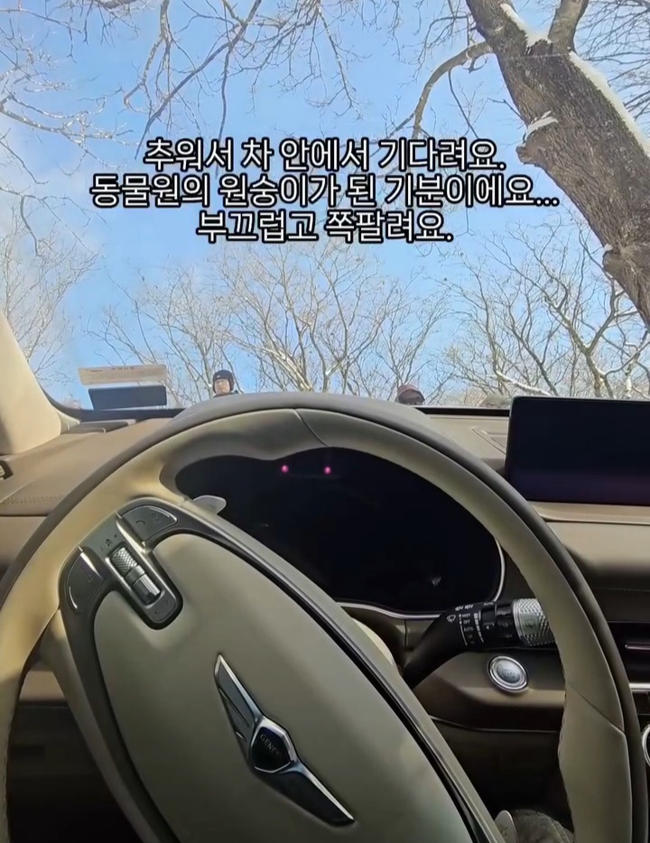 보험사 어디냐고 난리난 인스타 영상 | 인스티즈