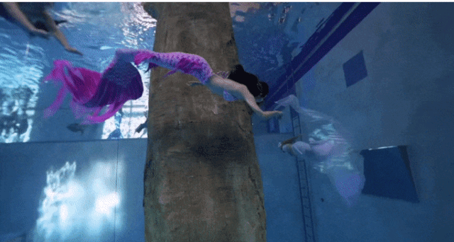 프리다이빙 배우고 넘어간다는 취미 머메이드 다이빙 | 인스티즈