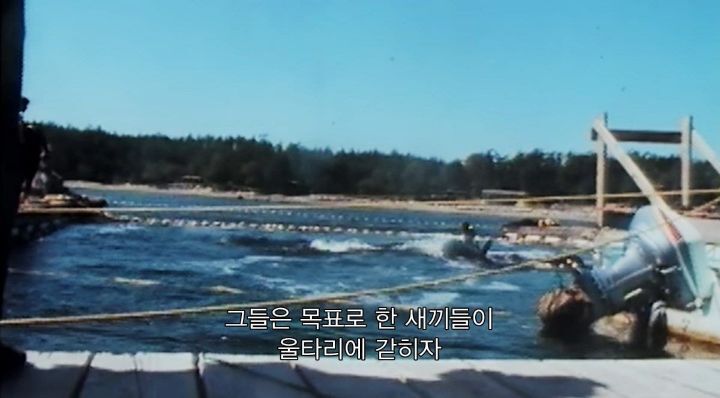 어느날 소방서에 고래가 조련사를 잡아 먹었다는 신고가 들어왔다 .jpg (스압주의) | 인스티즈