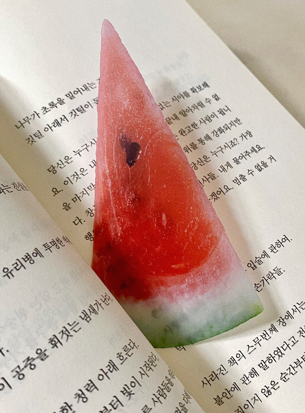 옥토가 이미지