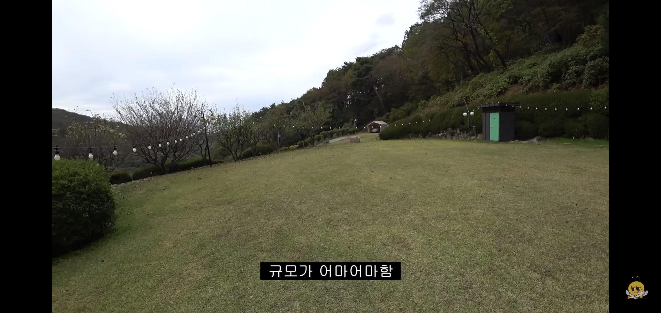 갑자기 유튜버 집에 들어온 떠돌이개가 알고보니 부잣집 도련님이었음.jpg | 인스티즈