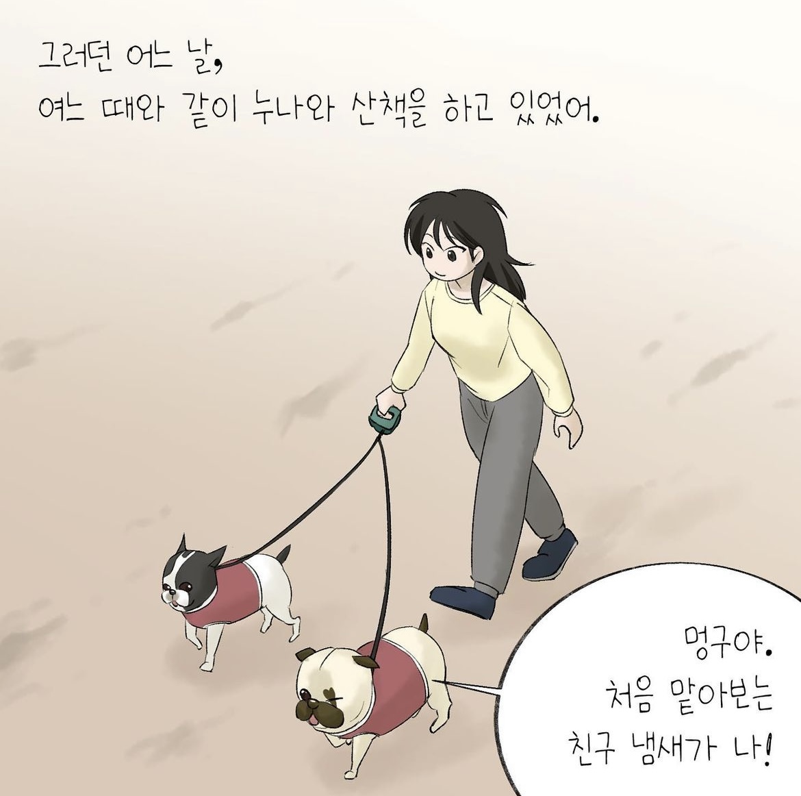 어느 팬(fan)의 선물로 시작된 테디의 안타까운 이야기 | 인스티즈