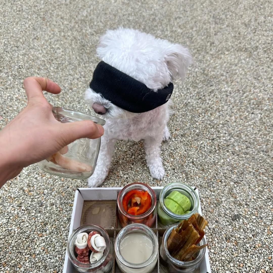 강아지유치원 흑백요리사 | 인스티즈