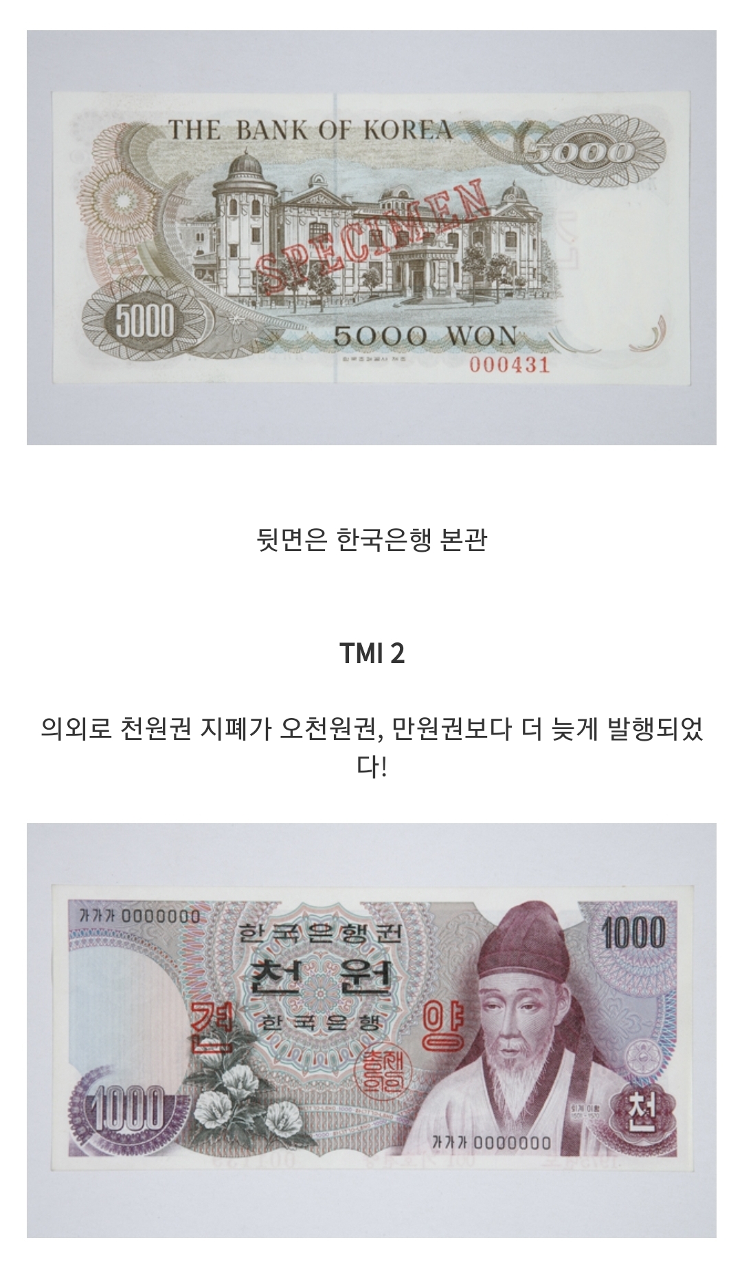 당초 만원권 지폐의 도안은 세종대왕이 아니었다? 지폐 tmi | 인스티즈