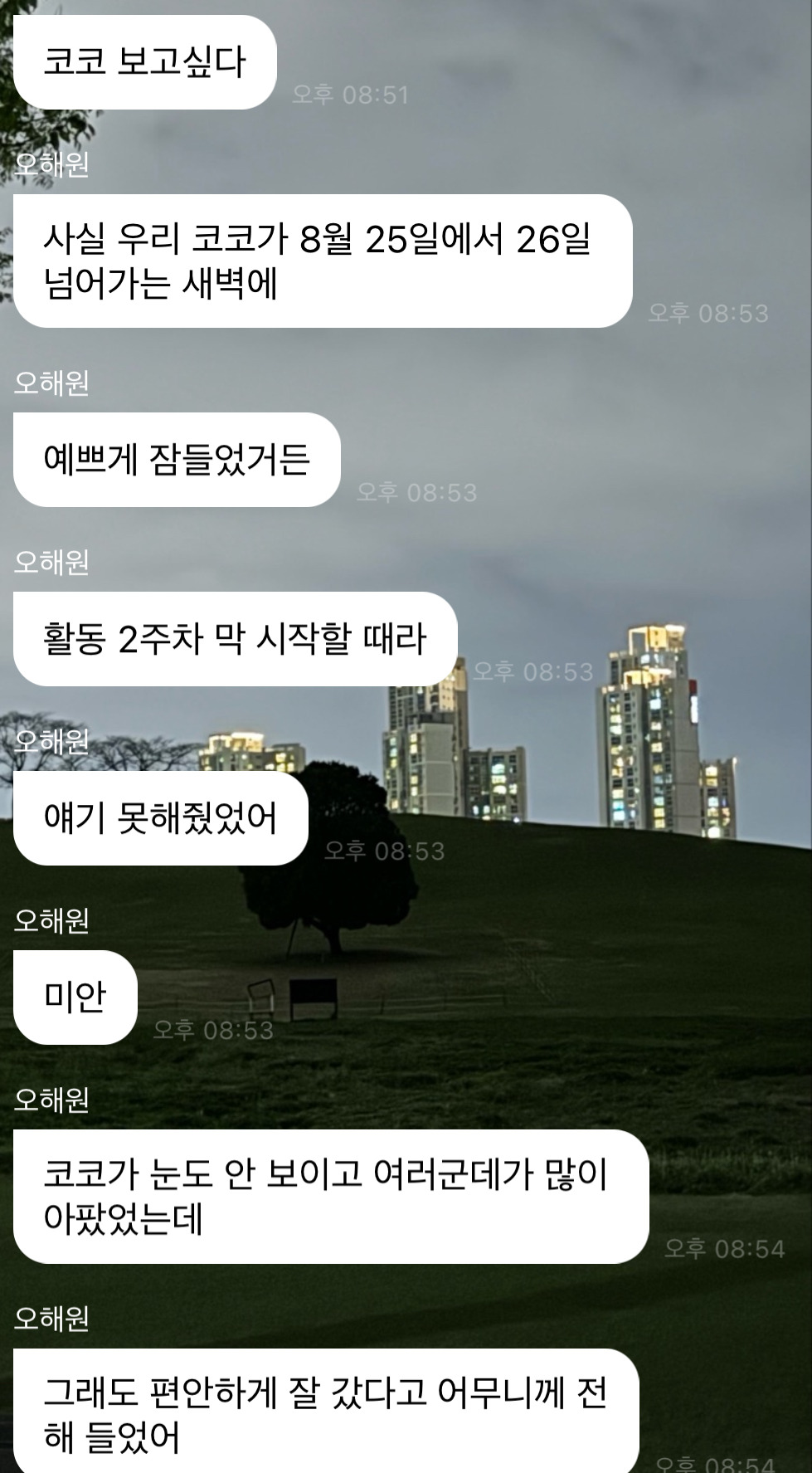 팬싸에서 작년에 무지개다리 건넌 반려견 닮은인형 받은 엔믹스 해원 | 인스티즈