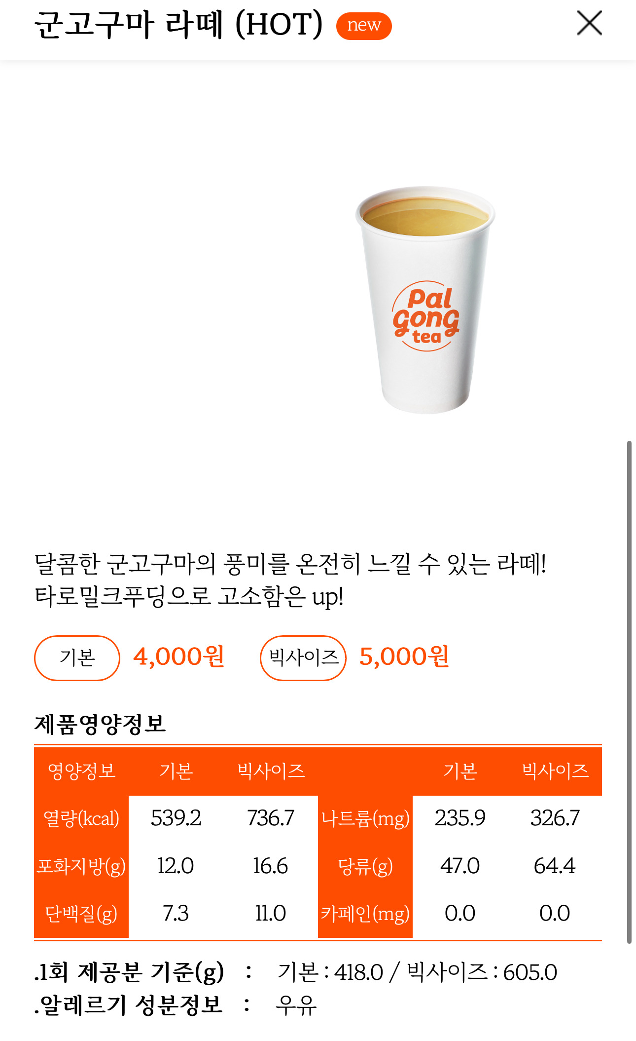 팔공티 이미지