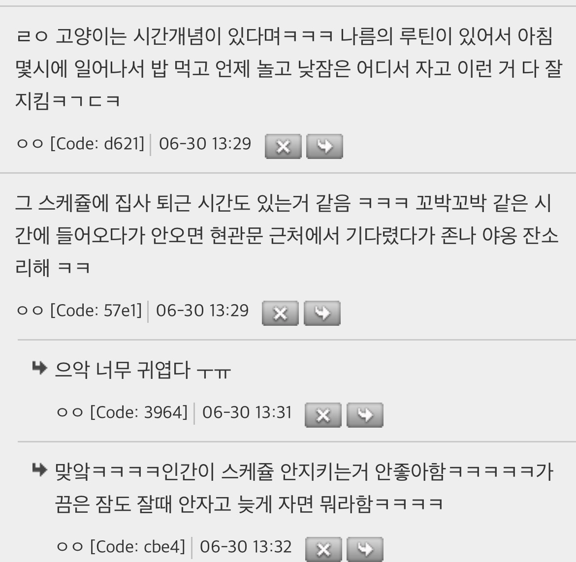 고양이는 다 계획이 있음 | 인스티즈