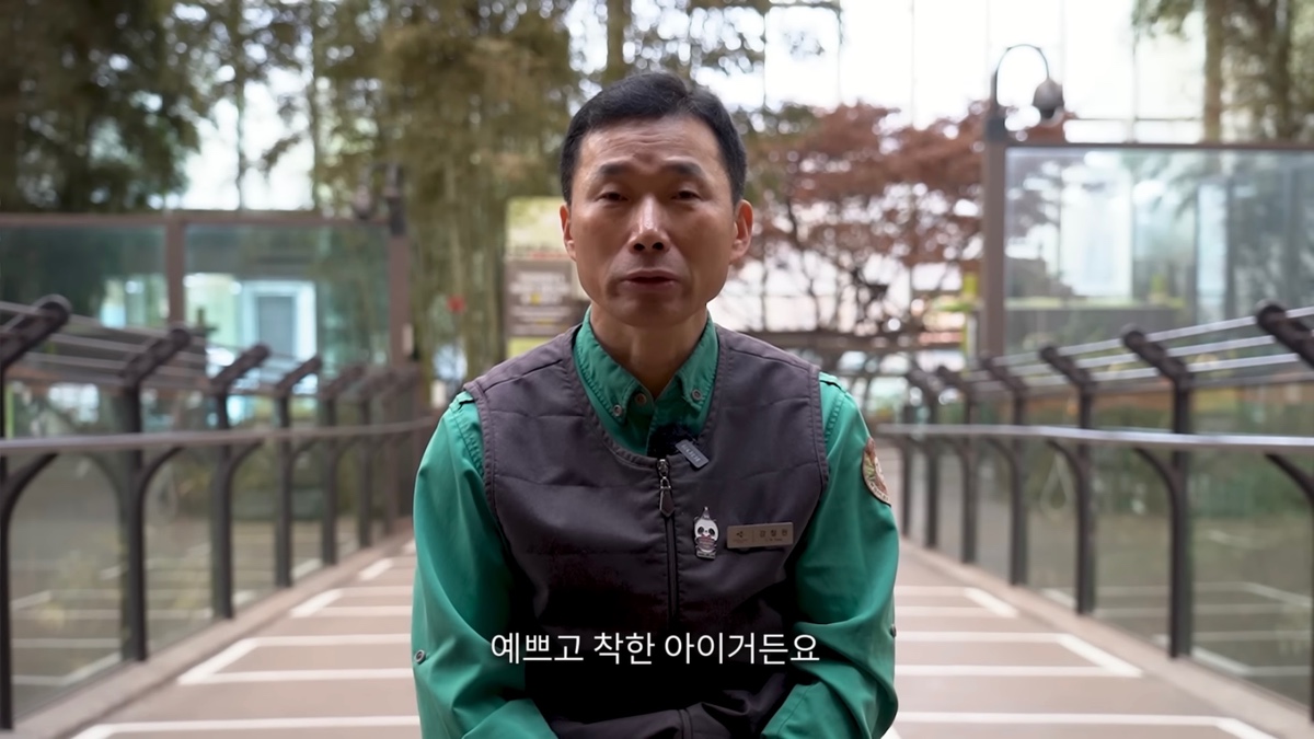 강바오가 중국 사육사에게 보내는 영상편지 (오열주의) | 인스티즈